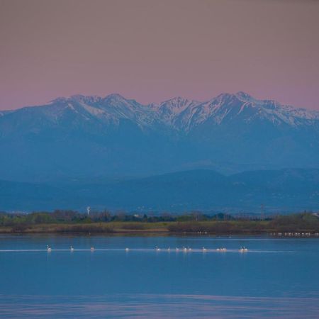 "Chill" Magnifique Vue Sur La Mer Et Le Port Au Coeur De La Ville En Premiere Ligne Canet-en-Roussillon Eksteriør billede