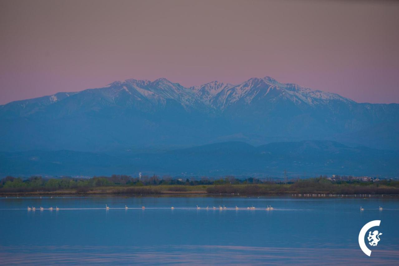 "Chill" Magnifique Vue Sur La Mer Et Le Port Au Coeur De La Ville En Premiere Ligne Canet-en-Roussillon Eksteriør billede