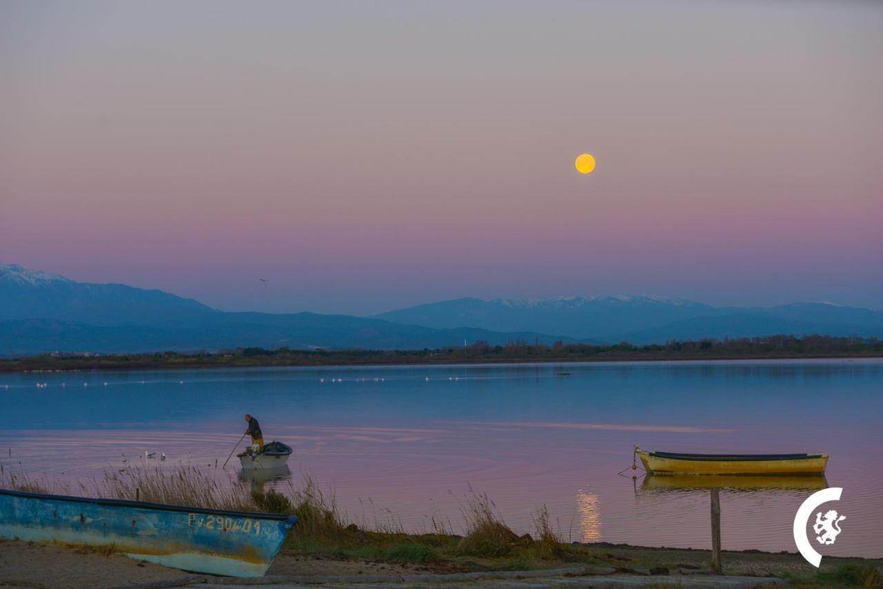 "Chill" Magnifique Vue Sur La Mer Et Le Port Au Coeur De La Ville En Premiere Ligne Canet-en-Roussillon Eksteriør billede